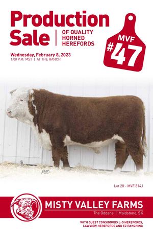 Misty Valley Farms Production Sale