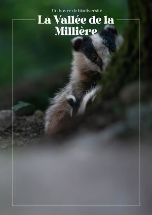 La Vallée de la Millière, un projet mené par Yann Arthus Bertrand, par Anis Leone