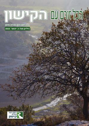 הכל זורם עם הקישון - ינואר 2023