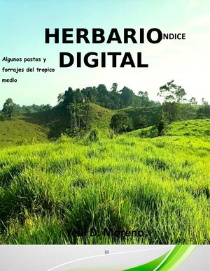 Caracterizacion Pastos Y Forrajes