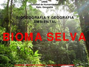Selva T
