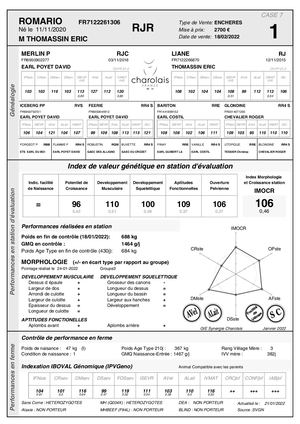 Bat Gie Vente Jalogny 83 Pages Veaux
