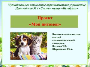 Проект Мой питомец