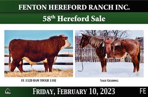 Fenton Hereford Ranch 58th Annual Hereford Sale