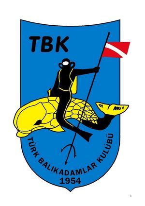 Tbk 2011 Kitap