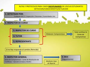 Mineduc Rutas Y Protocolos Dece