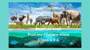 Stiinte Medii de viata