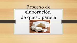 Proceso De Elaboración