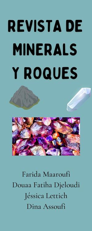 Revista roques minerals