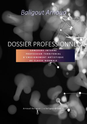 Baligout Arnaud Dossier Professionnel Concours P T E A 2023