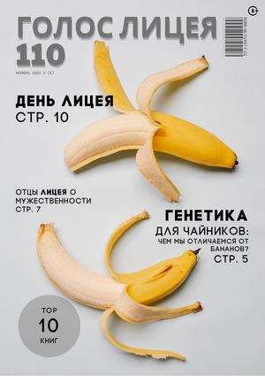 ЖУРНАЛ ГОЛОС ЛИЦЕЯ 110 Ноябрь22 2(3).