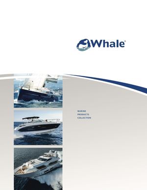 Whale Catalogo