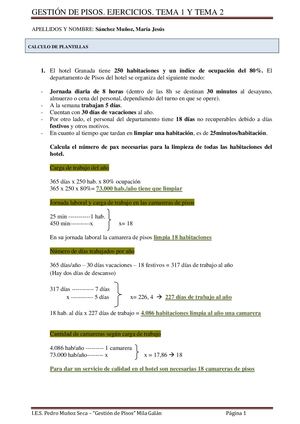 Gestión De Pisos Ejericios Tema 1 Y Tema 2 Planificación Plantillas