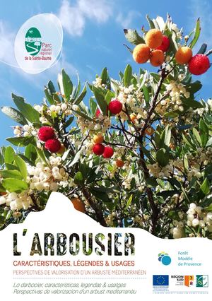 L'Arbousier, caractéristiques, légendes & usages