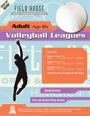 Adult Volleyball Leagues