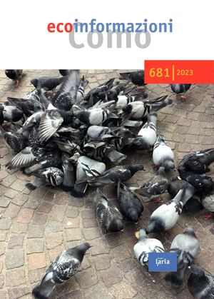 ecoinformazioni 681