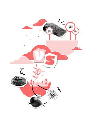 Steack boeuf VS végétal "Ecolo, mon cul !"