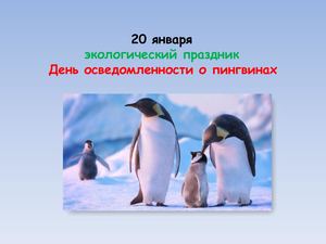 День осведомленности о пингвинах