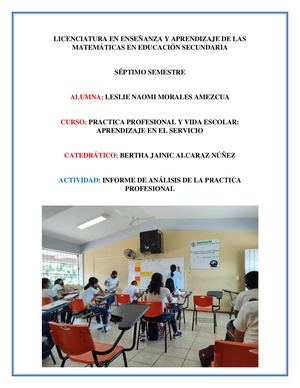 Analisis De La Practica Profesional Docente