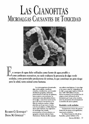 Las Cianofitas