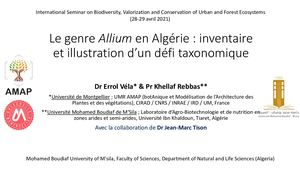 Genre Allium En Algérie (V1 4, Diffusion) Vela Et Rebbas 2021