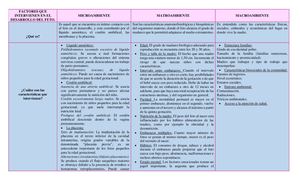 Factores que intervienen en el Desarrollo del Feto