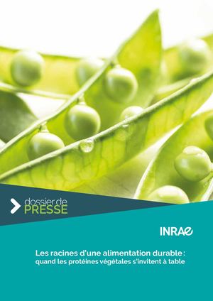 Les racines d’une alimentation durable : quand les protéines végétales s’invitent à table