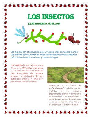 El Mundo De Los Insectos