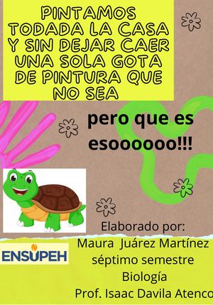 Las Tortugitas (1)
