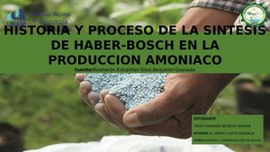 Proceso Haber Bosh