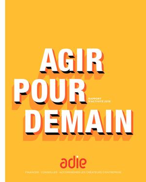 Rapport Activite Agir Adie 2018