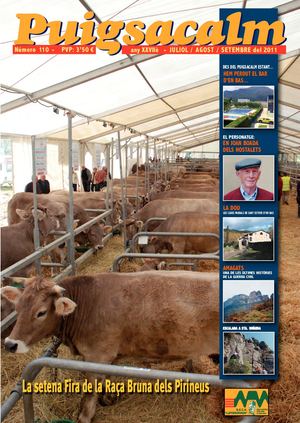 Puigsacalm 110