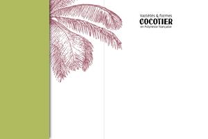 Extrait Variétés & formes de cocotier en Polynésie française