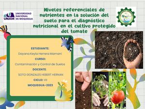 Mapa Conceptual Niveles Referenciales De Nutrientes En La Solución Del Suelo Para El Diagnóstico Nutricional En El Cultivo Protegido Del Tomate