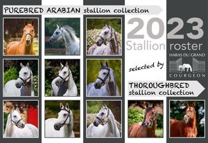 2023 Stallion collection selected by the Haras du Grand Courgeon