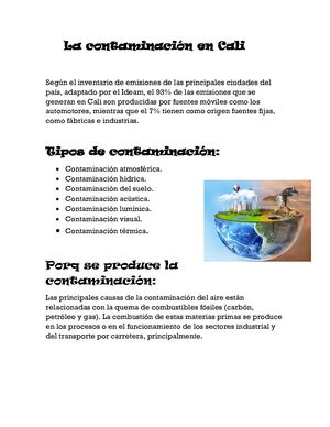 La Contaminación En Cali Sara Duque
