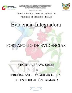 Portafolio De Evidencias Actividad Integradora