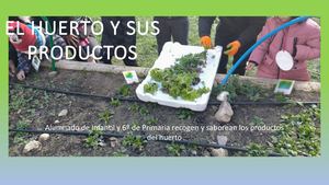 El Huerto Y Sus Productos