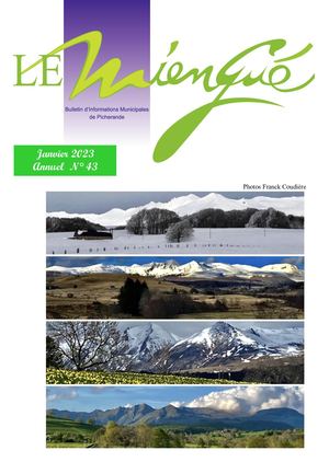 Miengue Picherande N43 Réduit