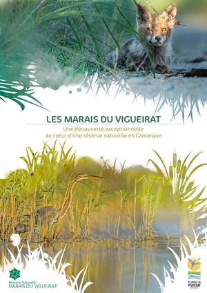 Marais du Vigueirat