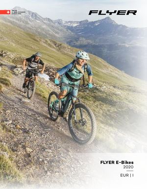 Catalogo Flyer e-bike 2020