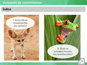 Revestimentos Dos Animais