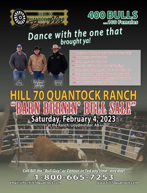 Hill 70 Quantock Barn Burnin' Bull Sale