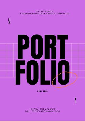 Feltin Candice Portfolio 2023