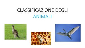 Classificazione Degli Animali