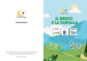Il Bruco E La Farfalla Caa