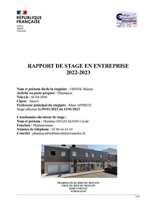 Rapport Stage Pdf Shirine 2023