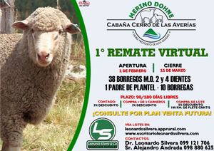 Catálogo Merino Dohne Cabaña Cerro de las Averías