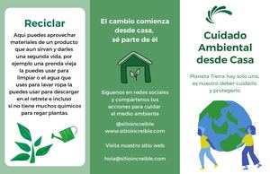 Folleto De Cuidado Ambiental Moderno E Ilustrado