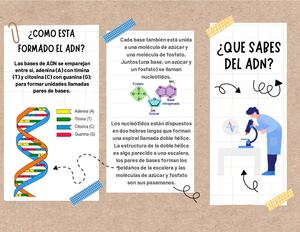 Folleto Tríptico Adn